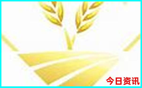 东兴旅游攻略必去景点